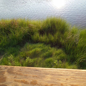 Meet your Posher, Shyanne